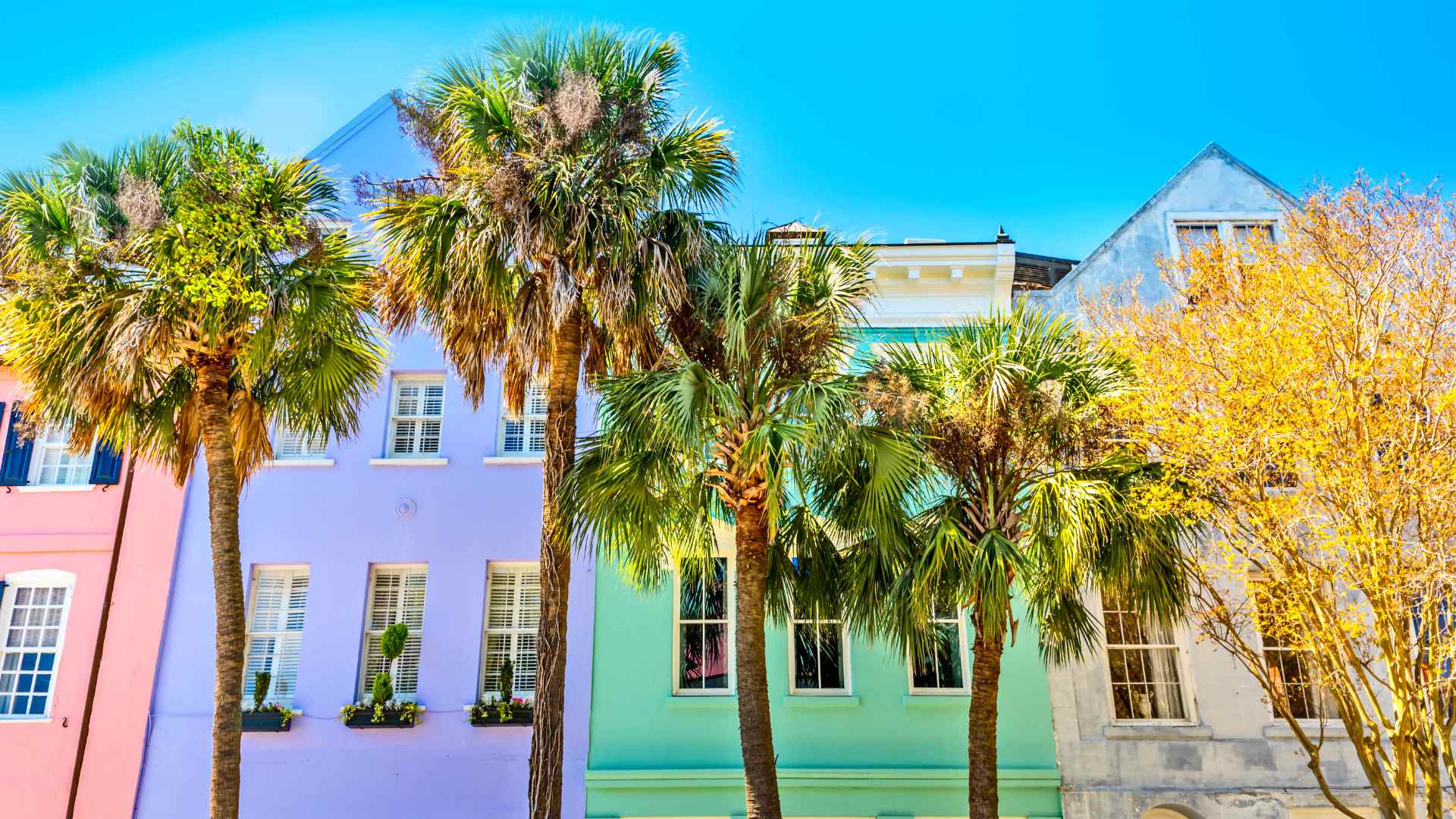 Pastel-colored row houses along a palm-lined Southern historic street
