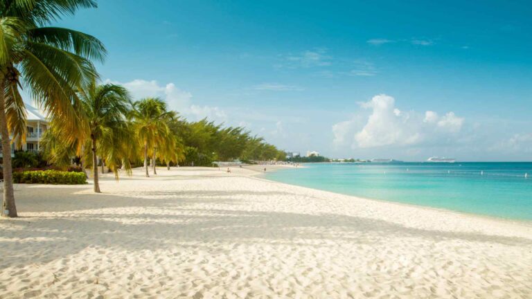Quiet white sand beach lined with palm trees on Grand Cayman