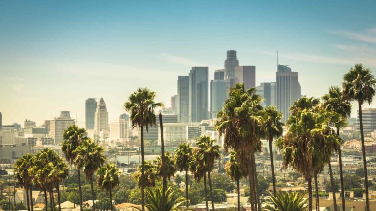 Downtown Los Angeles skyline rising behind rows of palm trees