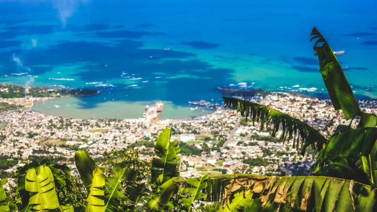 Aerial view of Puerto Plata and the coast framed by tropical leaves