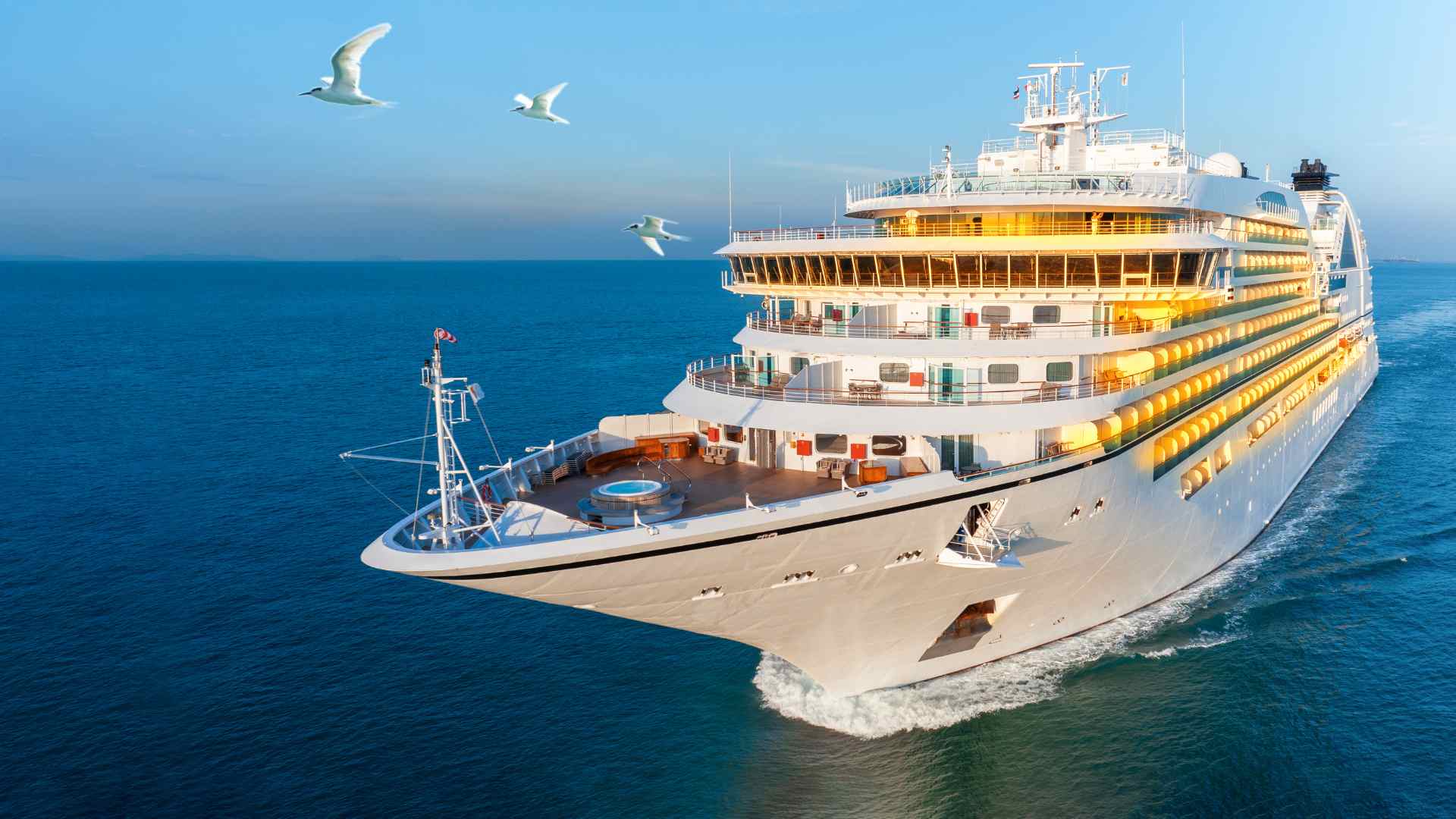Cruise ship sailing near Civitavecchia with seabirds flying overhead