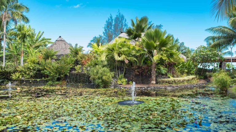 Tropical Tahiti scenery near the Papeete cruise port