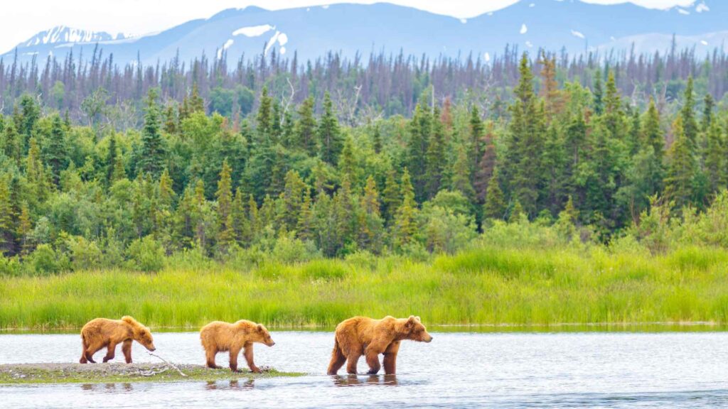 Alaska cruise ports