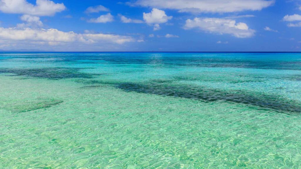 Apia Cruise Port