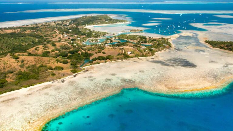 Champagne Bay Cruise Port (Espiritu Santo, Vanuatu): Tender-Only Beach Guide