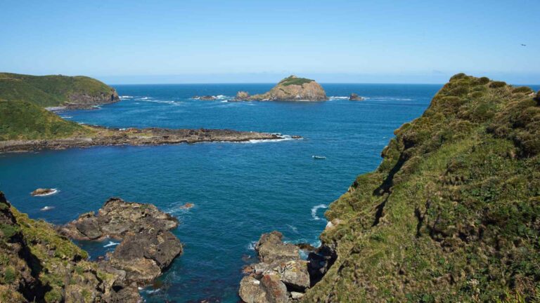 Castro, Chiloé Island Cruise Port Guide