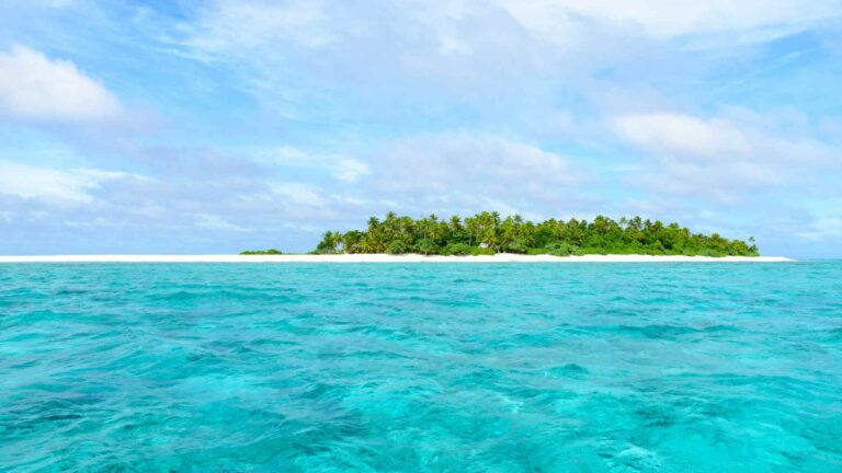 Dravuni Island Cruise Port Guide (Fiji)