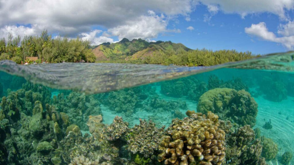 Huahine cruise port