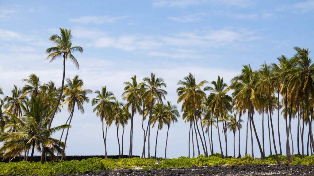 Kona Cruise Port