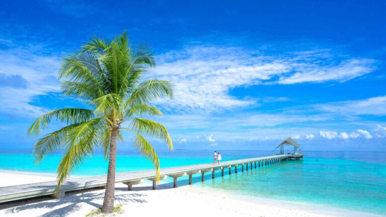 Tropical waterfront near Lautoka in Fiji