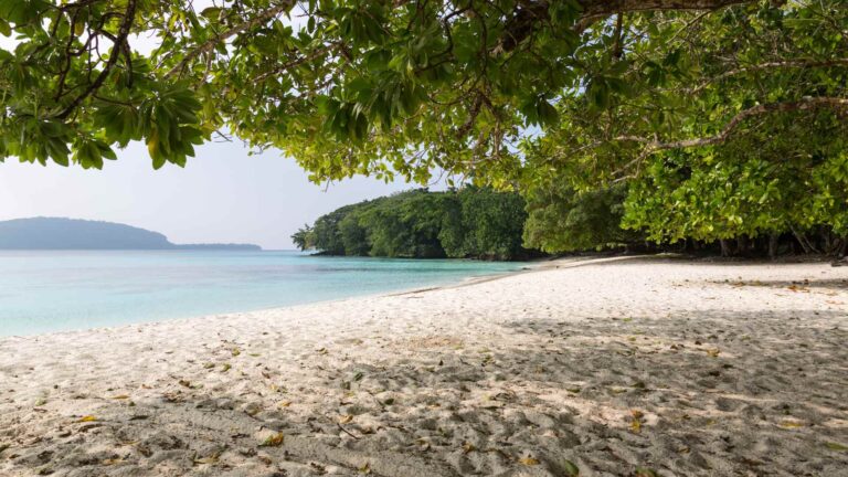 Luganville Cruise Port (Espiritu Santo): A Diver’s Guide