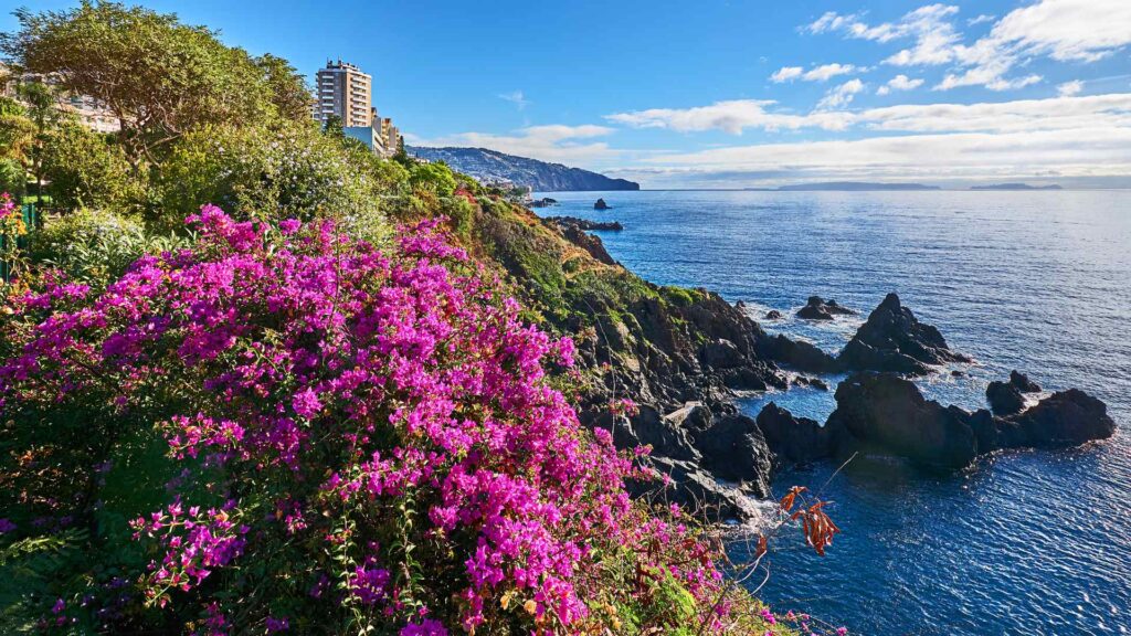 Madeira cruise port