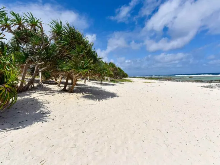 Pentecost cruise port