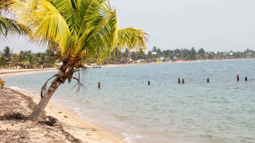 Placencia cruise port