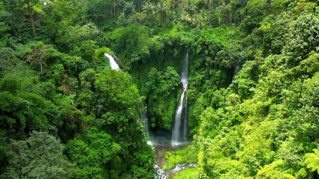 Taveuni cruise port