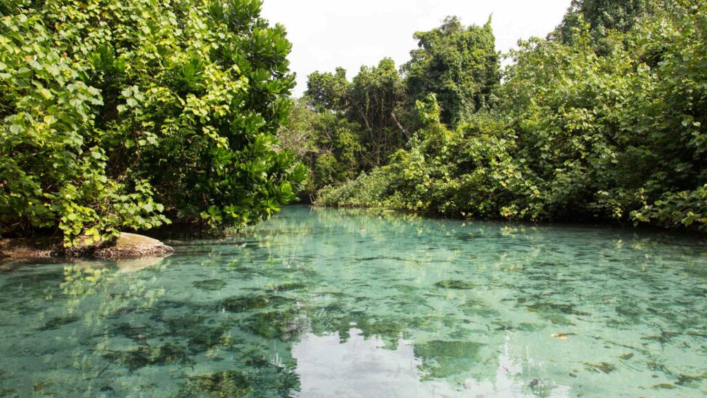 Vanuatu cruise ports