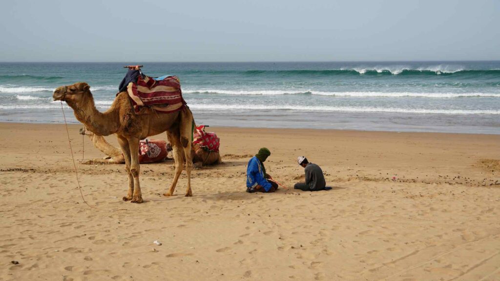 Agadir Cruise Port