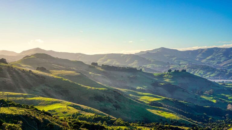Akaroa Cruise Port: A Tender-Port Day Guide