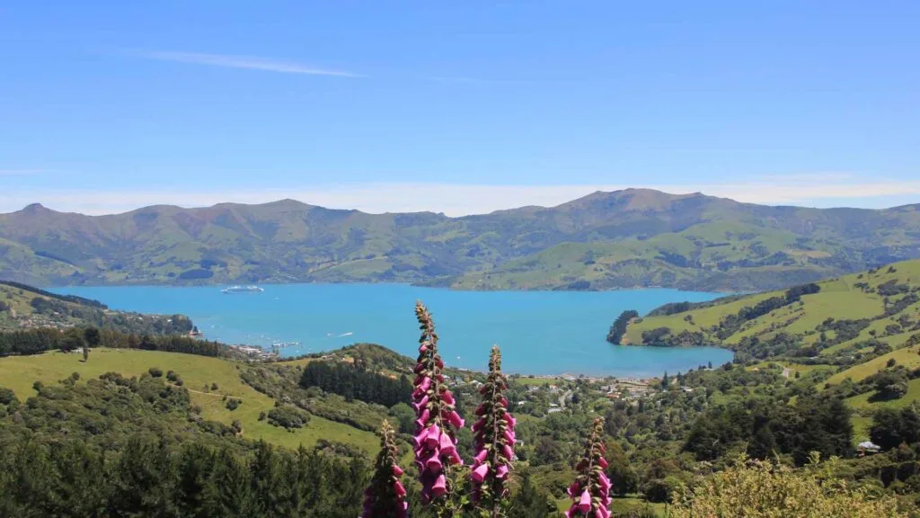 Akaroa Cruise Port