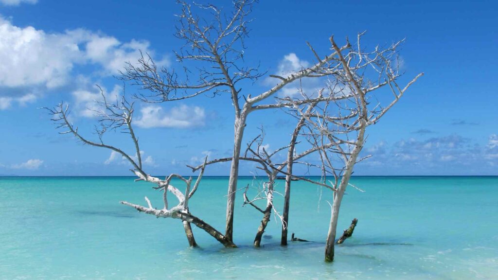 Anegada Cruise Port