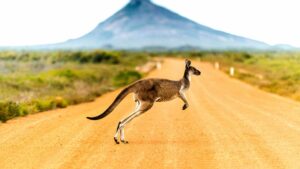 Featured image for Australia Cruise Ports: A Guide to Every Terminal