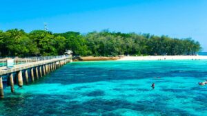 Featured image for Cairns Cruise Port Guide: Reef, Rainforest and the Esplanade