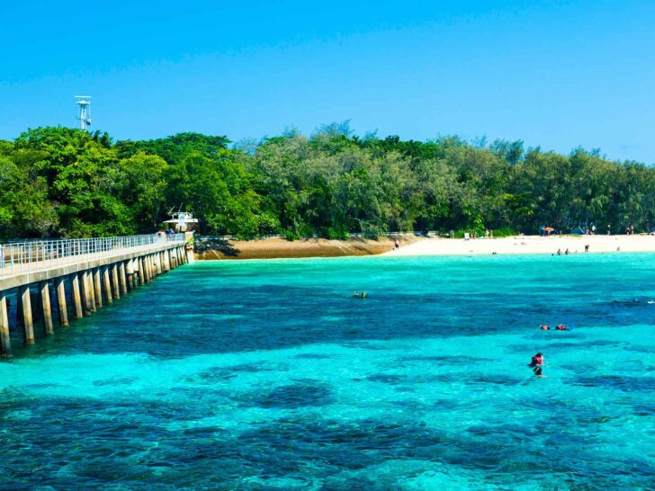 Cairns cruise port