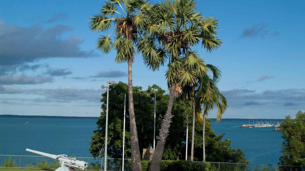 Darwin cruise port