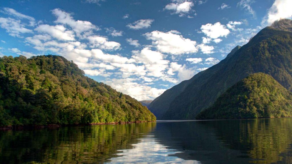 Doubtful Sound Cruise Port