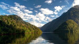 Featured image for Doubtful Sound (Patea) Cruise: Scenic Cruising Guide