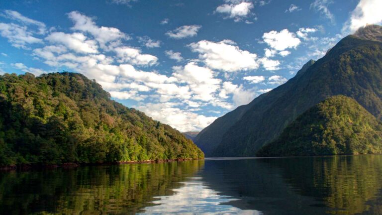 Doubtful Sound (Patea) Cruise: Scenic Cruising Guide