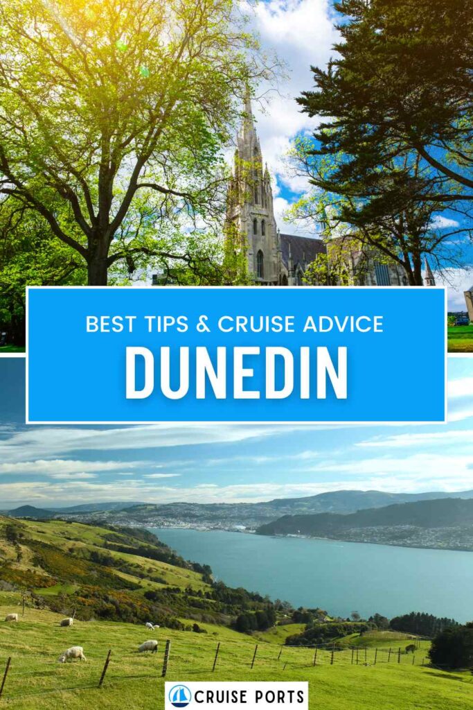 Dunedin cruise port pin