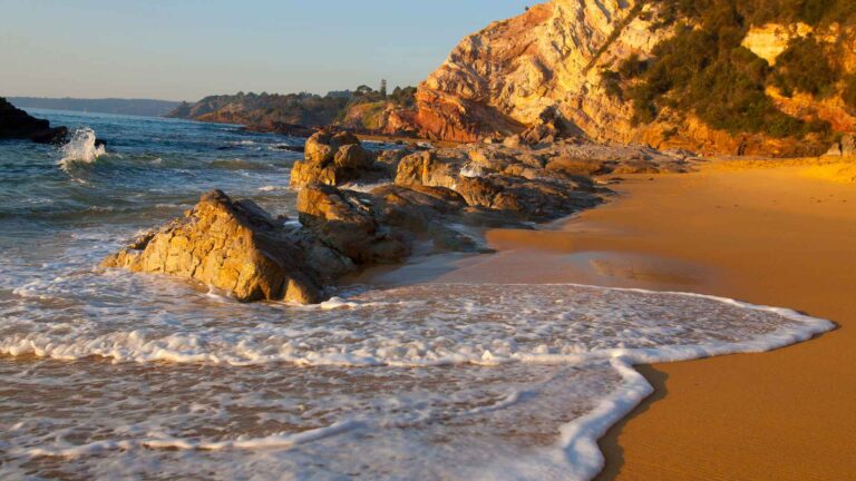 Eden Cruise Port: Whales, Wharf & the Sapphire Coast