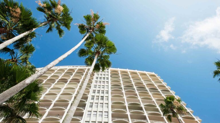 Palm trees and a tall Miami hotel atrium viewed from below
