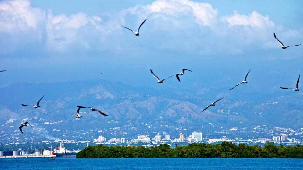  Kingston cruise port 