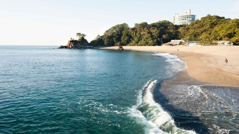 Kochi Cruise Port: A Guide to Shikoku, Japan