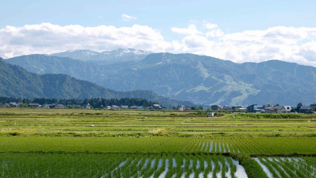 Maizuru & Niigata cruise ports