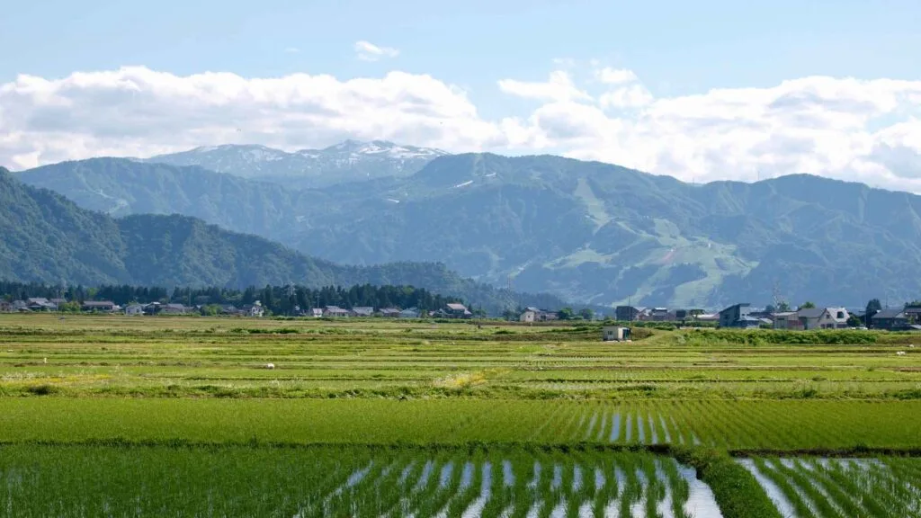 Maizuru & Niigata cruise ports