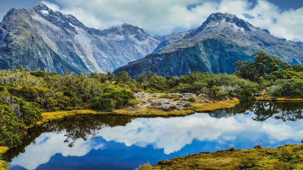 Milford Sound Cruise Port