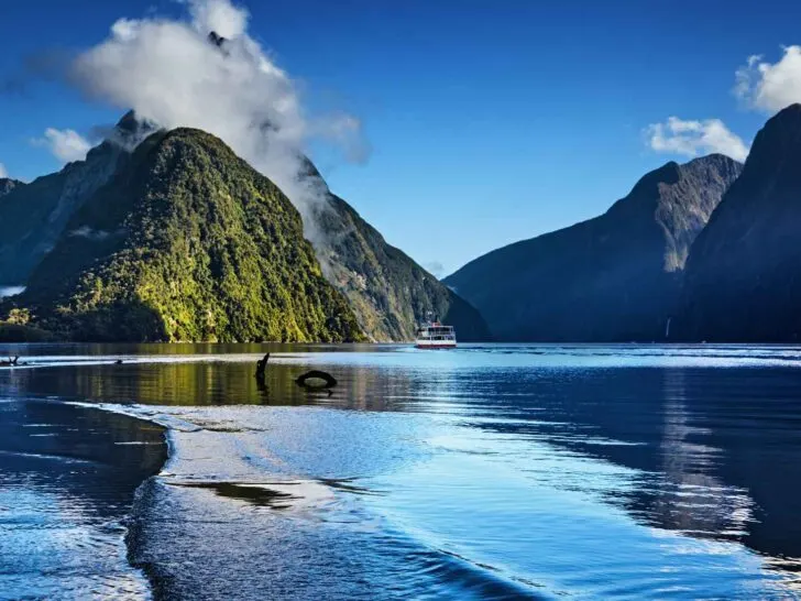 Milford Sound Cruise Port