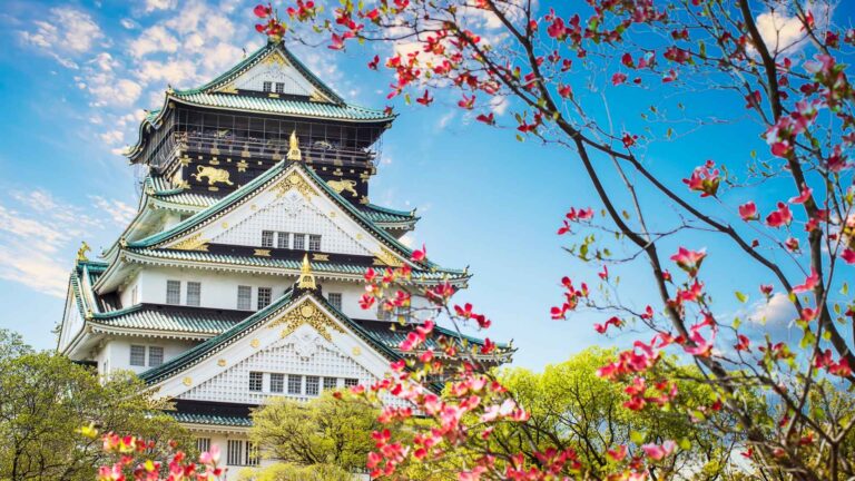 Osaka Cruise Port: A Complete Guide