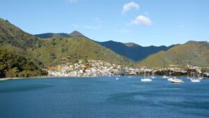 Featured image for Picton Cruise Port: Marlborough Sounds Guide