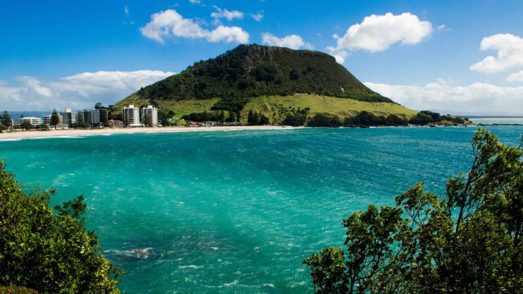 Tauranga Cruise Port