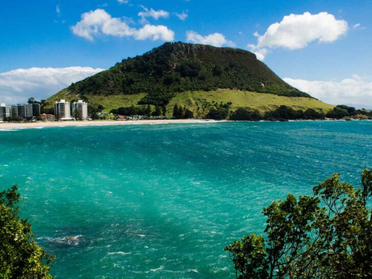 Tauranga Cruise Port