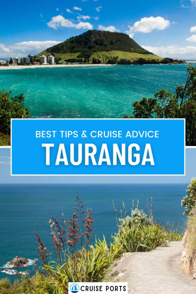 Tauranga cruise port pin