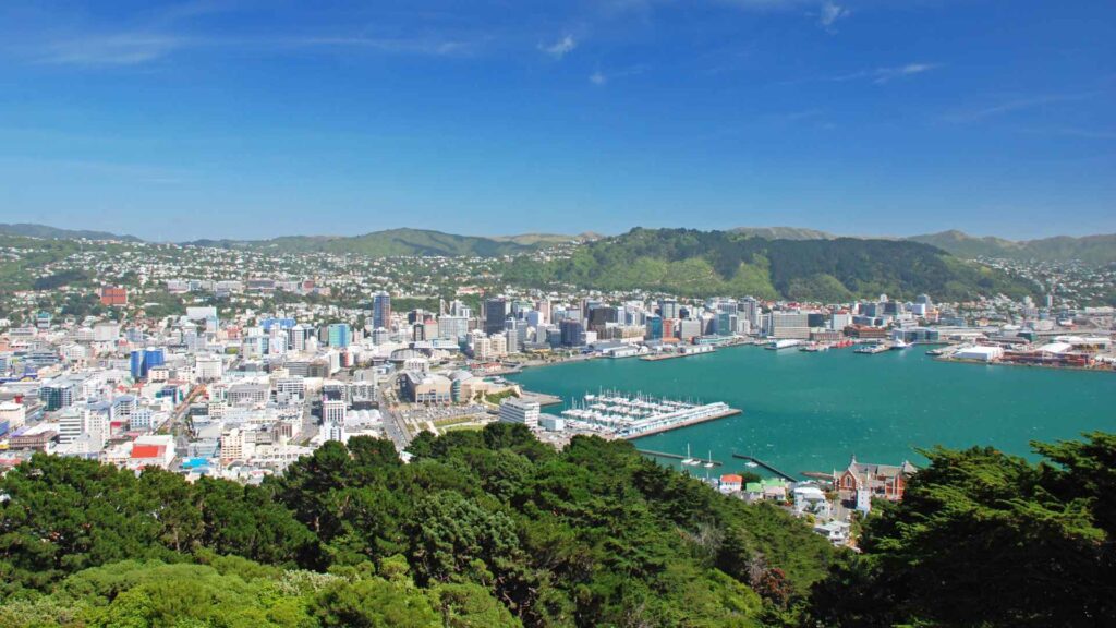 Wellington Cruise Port