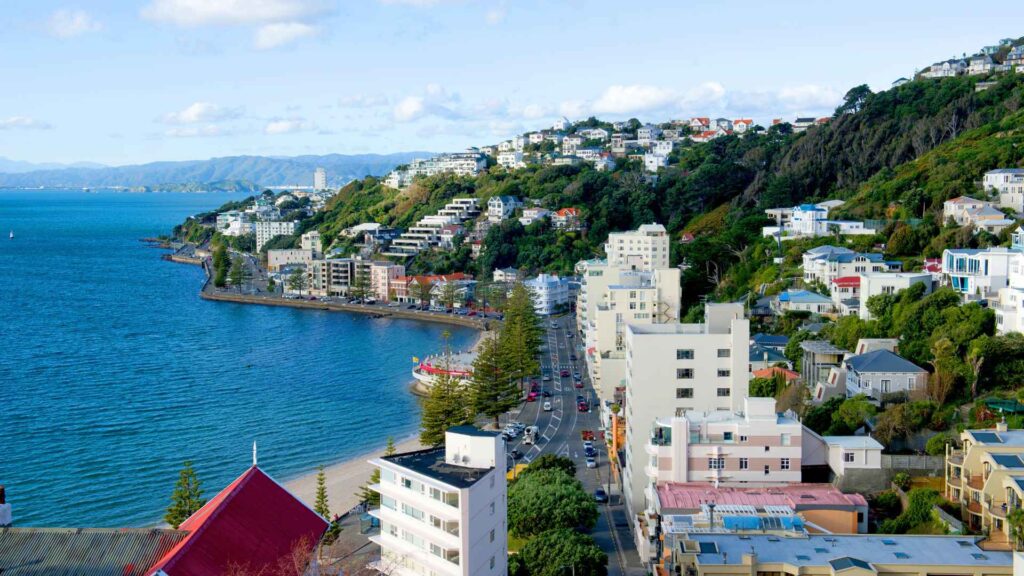 Wellington Cruise Port