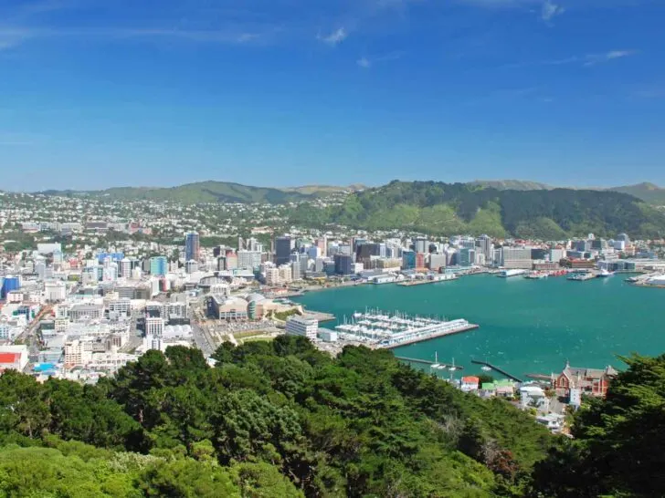 Wellington Cruise Port