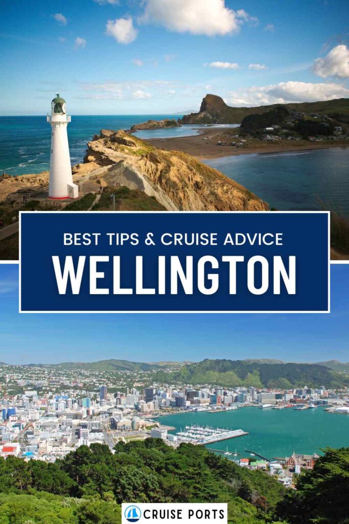 Wellington cruise port pin