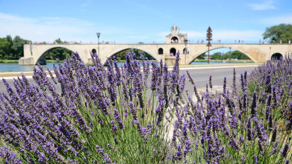 Avignon cruise port